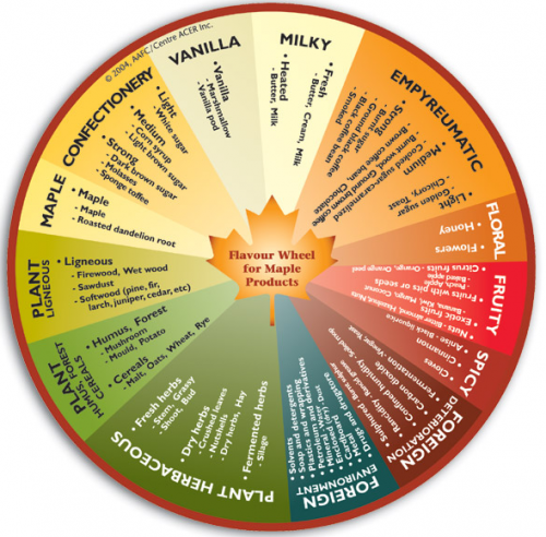 Flavor wheel
