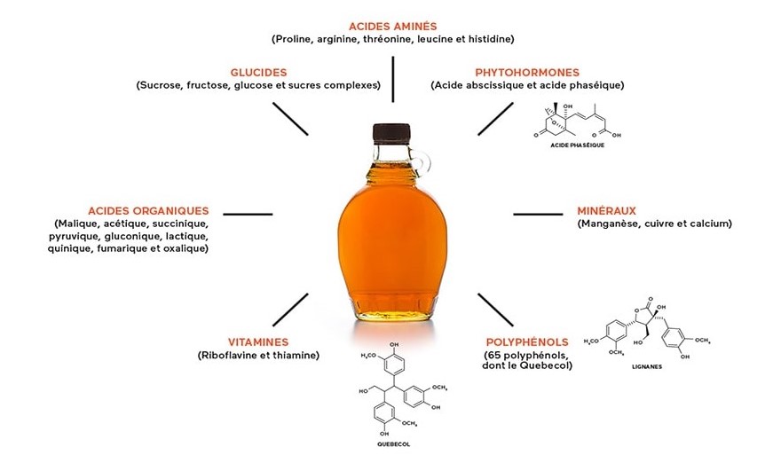 La composition du sirop d’érable